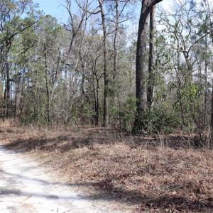 Photo of UNDER CONTRACT!!  1.1 Acres of Residential Land for Sale in Bladen County NC!