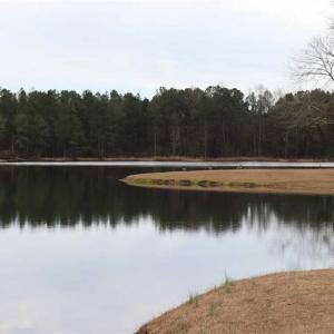 Photo of UNDER CONTRACT!!  1.1 Acres of Residential Land for Sale in Bladen County NC!