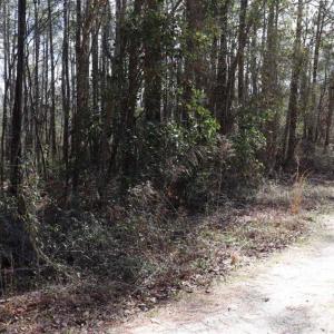 Photo of UNDER CONTRACT!!  1.1 Acres of Residential Land for Sale in Bladen County NC!