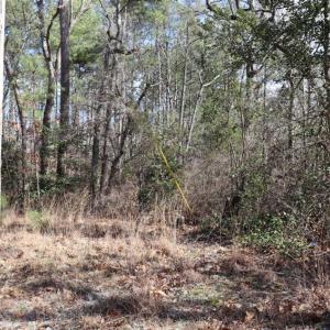 Photo of UNDER CONTRACT!!  1.1 Acres of Residential Land for Sale in Bladen County NC!