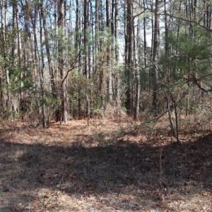 Photo of UNDER CONTRACT!!  1.1 Acres of Residential Land for Sale in Bladen County NC!