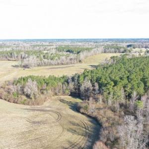 Photo of SOLD!!  30.71 Acres of Farm and Hunting Land for Sale in Columbus County NC!