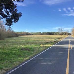 Photo of SOLD!!  30.71 Acres of Farm and Hunting Land for Sale in Columbus County NC!