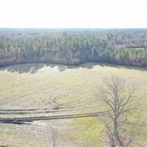Photo of SOLD!!  30.71 Acres of Farm and Hunting Land for Sale in Columbus County NC!