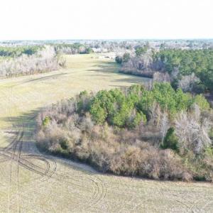 Photo of SOLD!!  30.71 Acres of Farm and Hunting Land for Sale in Columbus County NC!