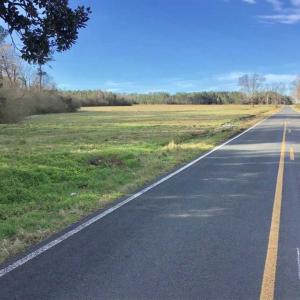 Photo of SOLD!!  30.71 Acres of Farm and Hunting Land for Sale in Columbus County NC!