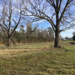 Photo of SOLD!!  30.71 Acres of Farm and Hunting Land for Sale in Columbus County NC!