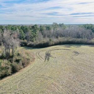 Photo of SOLD!!  30.71 Acres of Farm and Hunting Land for Sale in Columbus County NC!