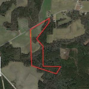 Photo of SOLD!!  30.71 Acres of Farm and Hunting Land for Sale in Columbus County NC!