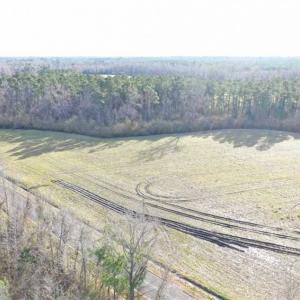 Photo of SOLD!!  30.71 Acres of Farm and Hunting Land for Sale in Columbus County NC!