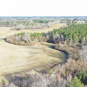 Photo of SOLD!!  30.71 Acres of Farm and Hunting Land for Sale in Columbus County NC!