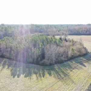 Photo of SOLD!!  30.71 Acres of Farm and Hunting Land for Sale in Columbus County NC!