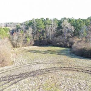 Photo of SOLD!!  30.71 Acres of Farm and Hunting Land for Sale in Columbus County NC!