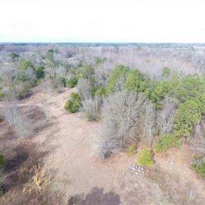 Photo of SOLD!!  16.97 Acres of Hunting and Residential Land for Sale in Robeson County NC!