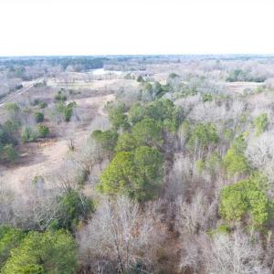Photo of SOLD!!  16.97 Acres of Hunting and Residential Land for Sale in Robeson County NC!