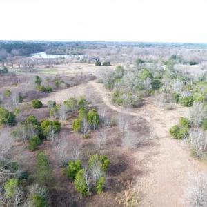 Photo of SOLD!!  16.97 Acres of Hunting and Residential Land for Sale in Robeson County NC!