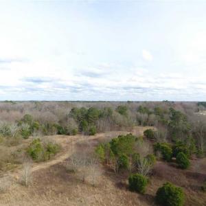 Photo of SOLD!!  16.97 Acres of Hunting and Residential Land for Sale in Robeson County NC!