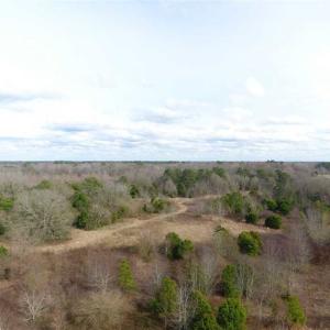 Photo of SOLD!!  16.97 Acres of Hunting and Residential Land for Sale in Robeson County NC!