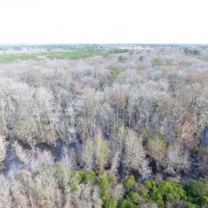 Photo of SOLD!!  16.97 Acres of Hunting and Residential Land for Sale in Robeson County NC!