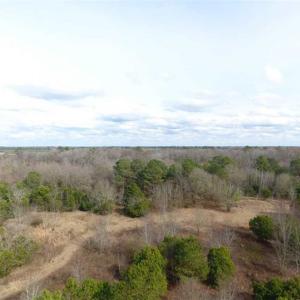 Photo of SOLD!!  16.97 Acres of Hunting and Residential Land for Sale in Robeson County NC!