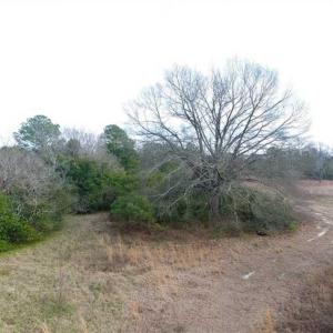 Photo of SOLD!!  16.97 Acres of Hunting and Residential Land for Sale in Robeson County NC!