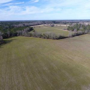 Photo of REDUCED!  191.03 Acres of Farm and Timber Land for Sale in Horry County SC!