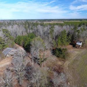 Photo of REDUCED!  191.03 Acres of Farm and Timber Land for Sale in Horry County SC!