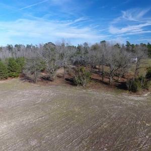 Photo of REDUCED!  191.03 Acres of Farm and Timber Land for Sale in Horry County SC!