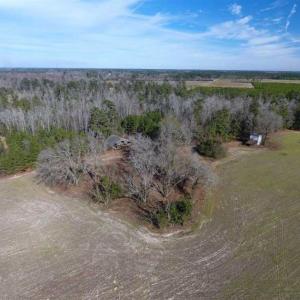 Photo of REDUCED!  191.03 Acres of Farm and Timber Land for Sale in Horry County SC!