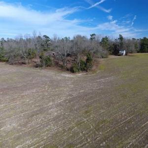 Photo of REDUCED!  191.03 Acres of Farm and Timber Land for Sale in Horry County SC!