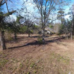 Photo of REDUCED!  191.03 Acres of Farm and Timber Land for Sale in Horry County SC!