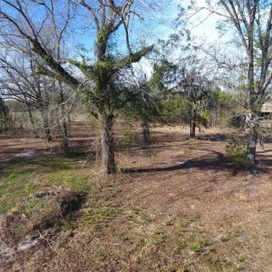 Photo of REDUCED!  191.03 Acres of Farm and Timber Land for Sale in Horry County SC!