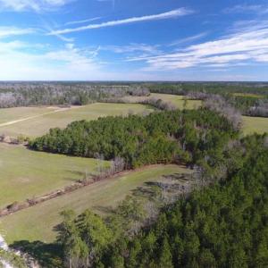 Photo of REDUCED!  191.03 Acres of Farm and Timber Land for Sale in Horry County SC!