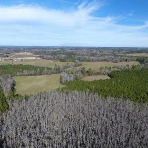 Photo of REDUCED!  191.03 Acres of Farm and Timber Land for Sale in Horry County SC!