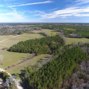 Photo of REDUCED!  191.03 Acres of Farm and Timber Land for Sale in Horry County SC!