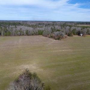 Photo of REDUCED!  191.03 Acres of Farm and Timber Land for Sale in Horry County SC!