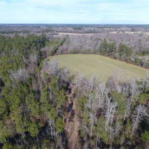 Photo of REDUCED!  191.03 Acres of Farm and Timber Land for Sale in Horry County SC!