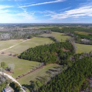 Photo of REDUCED!  191.03 Acres of Farm and Timber Land for Sale in Horry County SC!