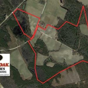 Photo of REDUCED!  191.03 Acres of Farm and Timber Land for Sale in Horry County SC!