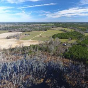 Photo of REDUCED!  191.03 Acres of Farm and Timber Land for Sale in Horry County SC!