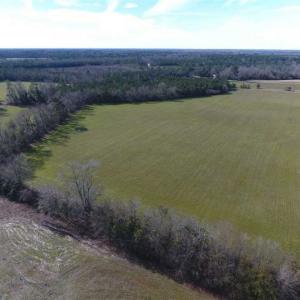Photo of REDUCED!  191.03 Acres of Farm and Timber Land for Sale in Horry County SC!