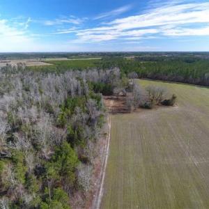 Photo of REDUCED!  191.03 Acres of Farm and Timber Land for Sale in Horry County SC!