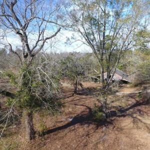 Photo of REDUCED!  191.03 Acres of Farm and Timber Land for Sale in Horry County SC!