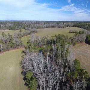 Photo of REDUCED!  191.03 Acres of Farm and Timber Land for Sale in Horry County SC!