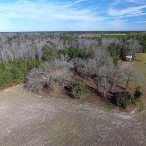 Photo of REDUCED!  191.03 Acres of Farm and Timber Land for Sale in Horry County SC!