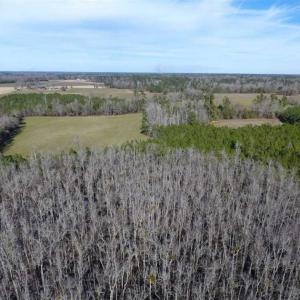 Photo of REDUCED!  191.03 Acres of Farm and Timber Land for Sale in Horry County SC!