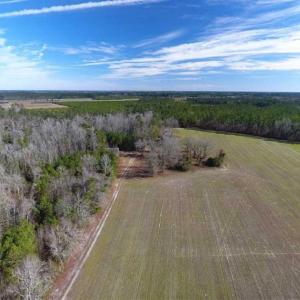 Photo of REDUCED!  191.03 Acres of Farm and Timber Land for Sale in Horry County SC!