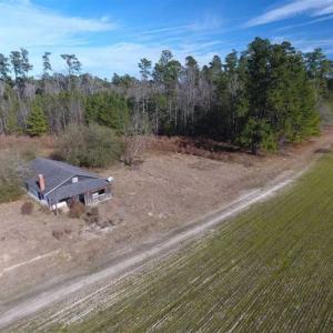 Photo of REDUCED!  191.03 Acres of Farm and Timber Land for Sale in Horry County SC!