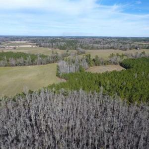 Photo of REDUCED!  191.03 Acres of Farm and Timber Land for Sale in Horry County SC!