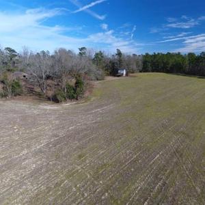 Photo of REDUCED!  191.03 Acres of Farm and Timber Land for Sale in Horry County SC!